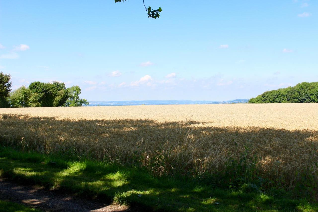 Woodcock Farm Apartment Bristol Bagian luar foto