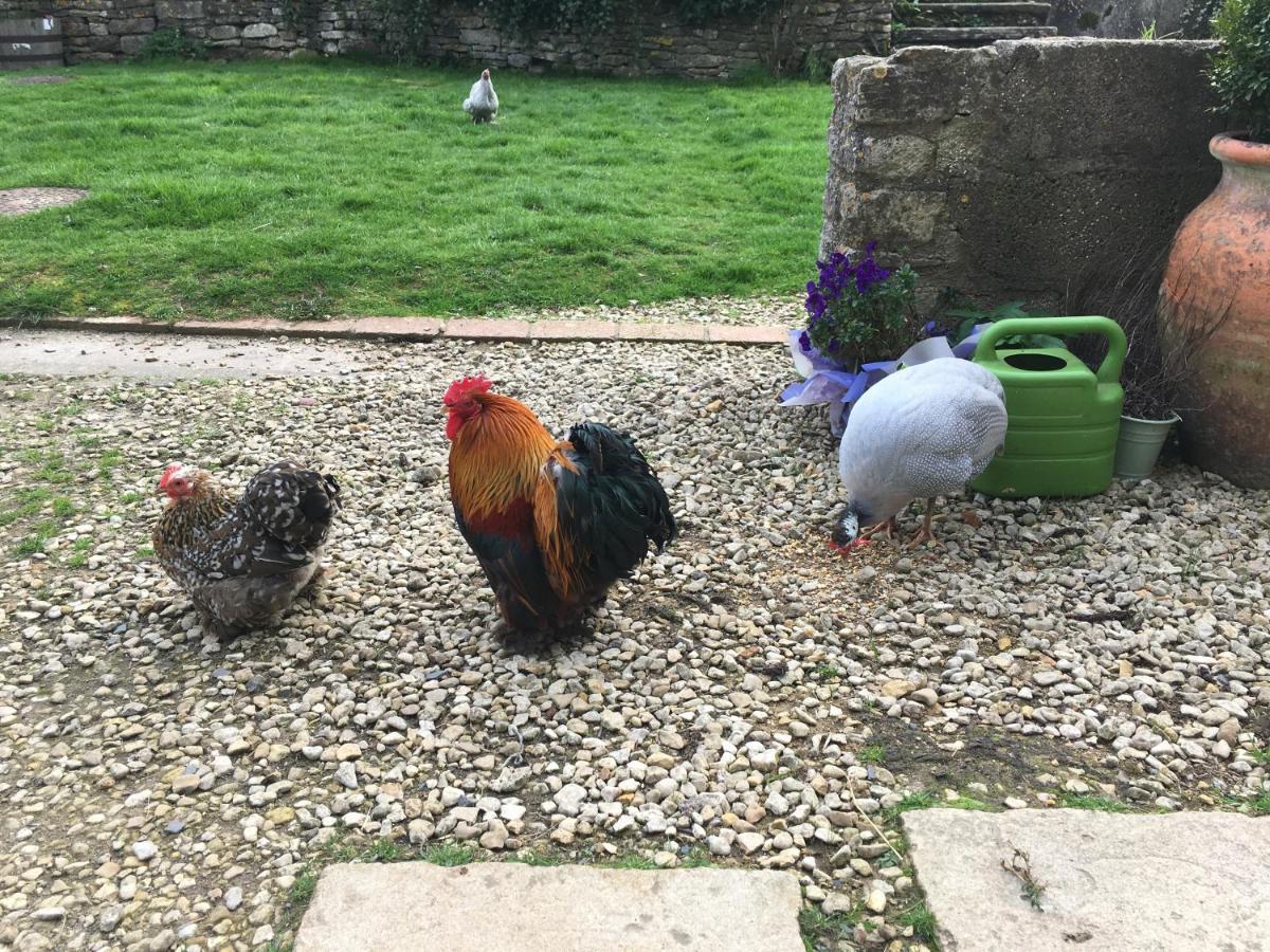 Woodcock Farm Apartment Bristol Bagian luar foto