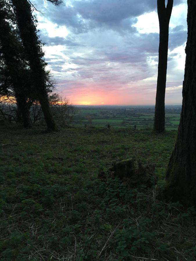 Woodcock Farm Apartment Bristol Bagian luar foto