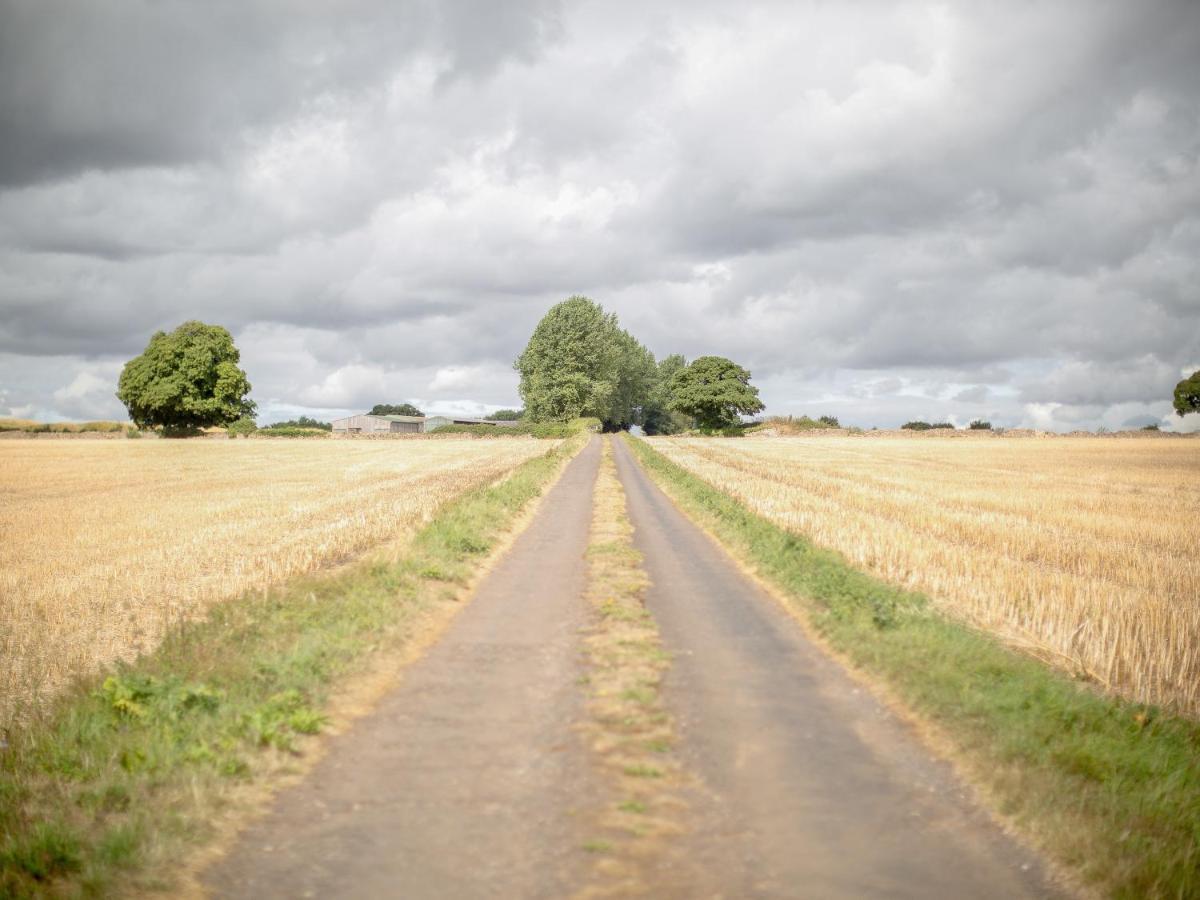 Woodcock Farm Apartment Bristol Bagian luar foto
